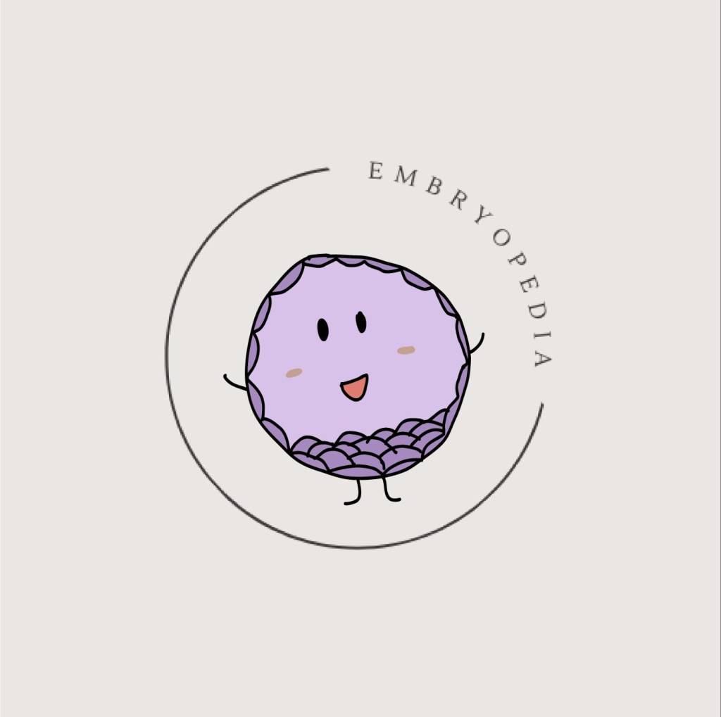Embryopedia, depicting the post on Instagram